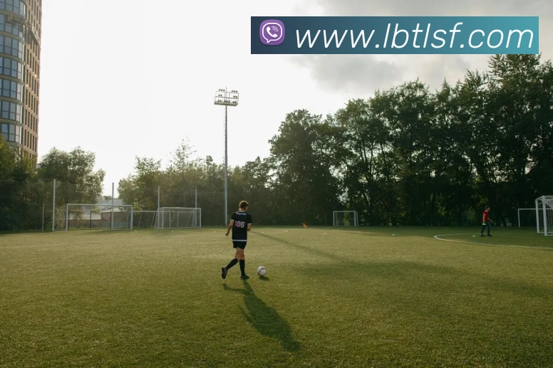 九游网官网网页版平台生态图