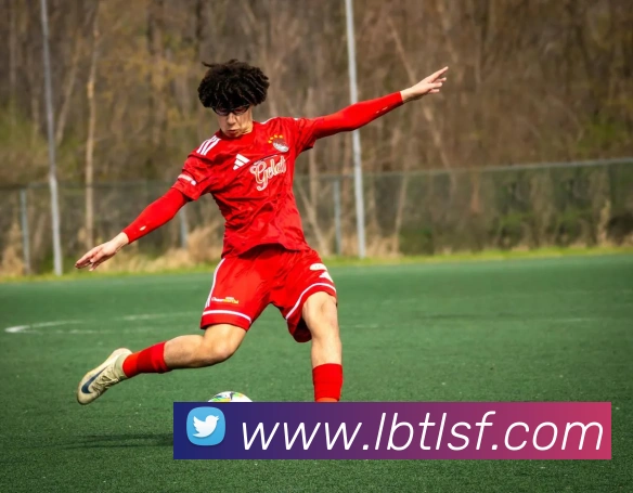 九游网官网网页版全站App